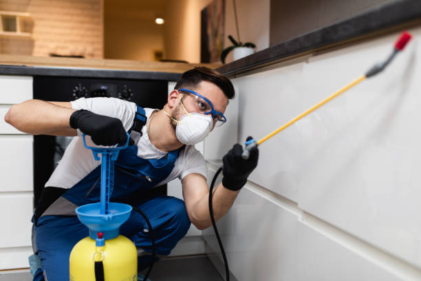 Best Exterminator Services  in Austell, GA