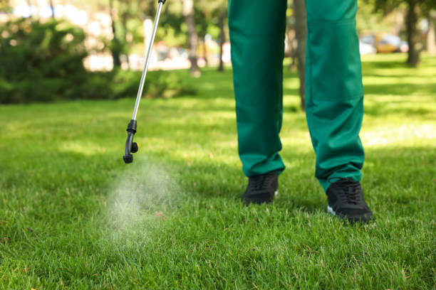 Best Rodent Control Near Me  in Austell, GA