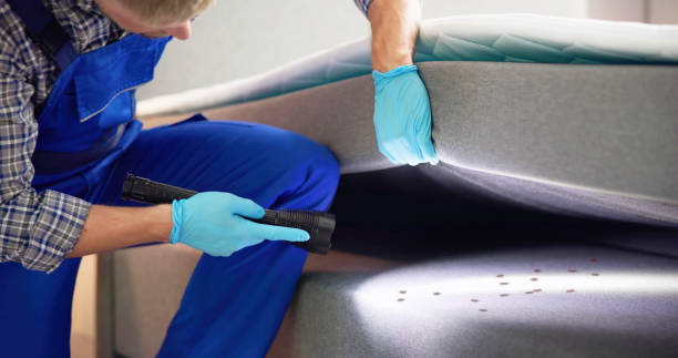 Best Wasp Removal Services  in Austell, GA