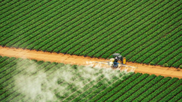 Best Pest Removal Services  in Austell, GA