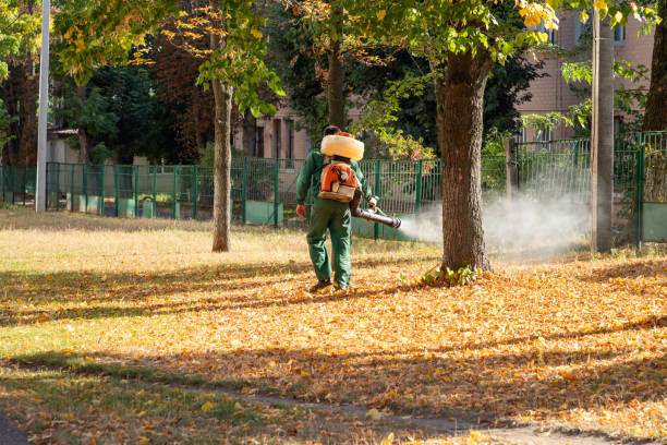 Wasp Removal Services in Austell, GA